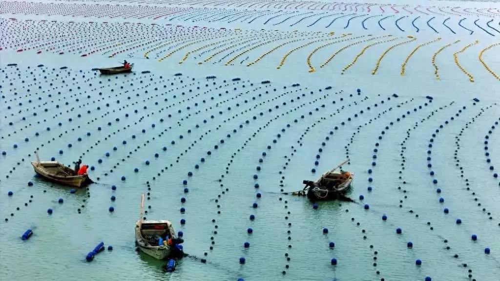 ɽ�|�s�ɣ����ϡ�������