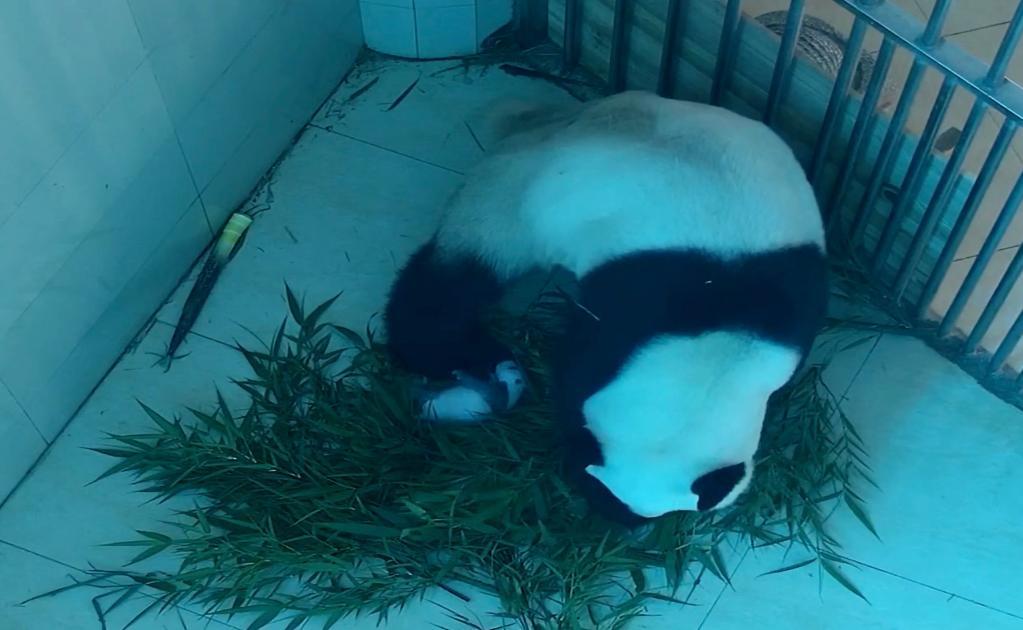 2023����؈������ֻ��؈�������P�����ƺ���س���[�D]