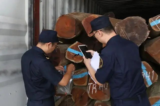 ���P(gu��n)�l(f��)����ȫ���״νث@�ڼ��tρ