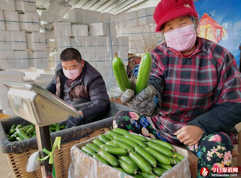 ɽ�|۰�ǲ��r(n��ng)��������(x��)�x�����Ј�