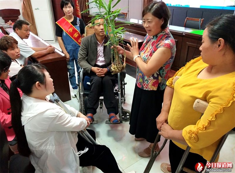 ɽ�|۰�ǣ��������M(j��n)�����v�á����M(f��i)�W(xu��)��(sh��)�ü��g(sh��)