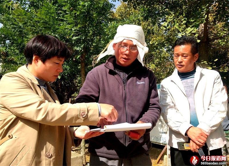 ɽ�|۰��:�ɲ���������ǰ Ⱥ�������ٻ��X