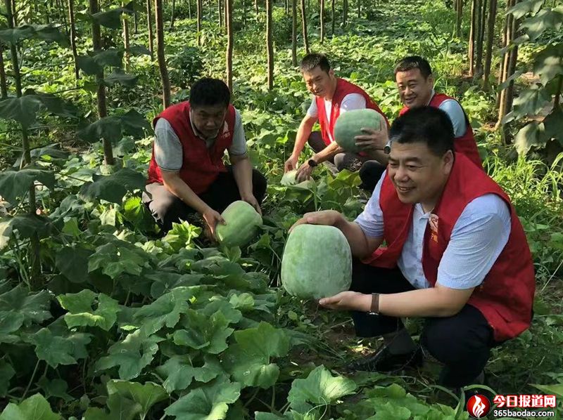  ɽ�|ʡ����h���݌��u�֣��I�N�����_չ���Ҟ�Ⱥ���k��(sh��)�¡���(sh��)�`���