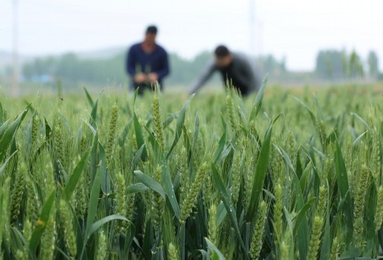 ���Č����r(n��ng)��æ