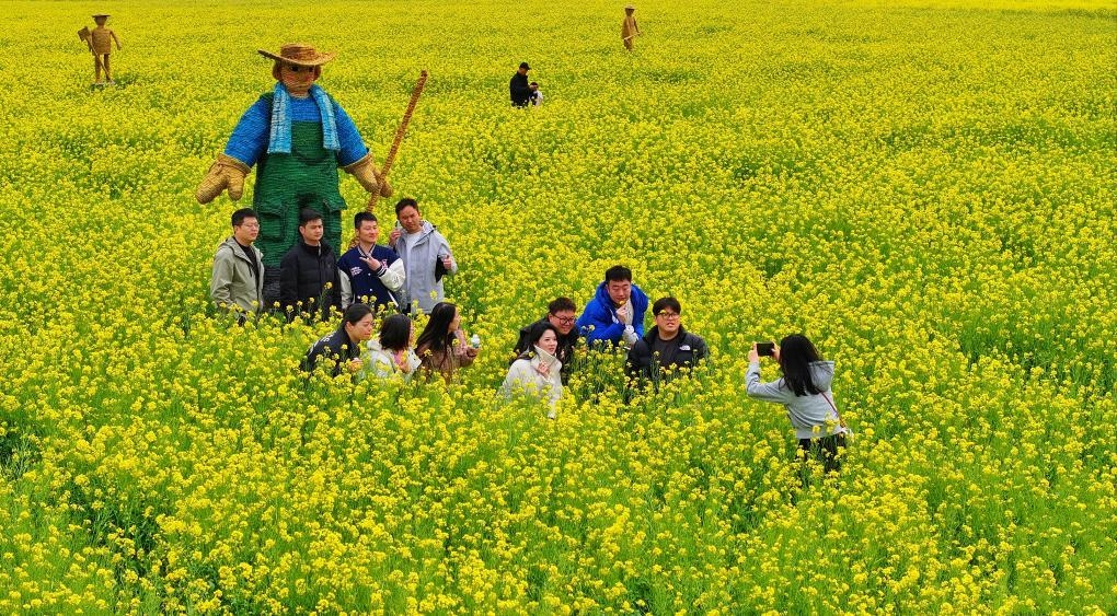 ���´�����