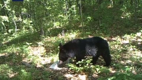 �҇�(gu��)�״ΰl(f��)�F(xi��n)�|�����Ժ��ܵ����FӰ������߀��ð����⡱