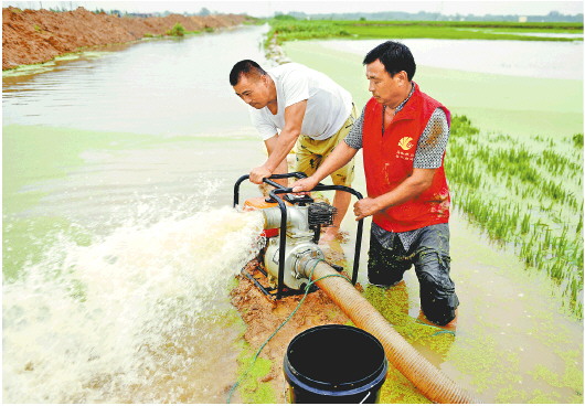 ��������30���x�� �����ɫ�A(y��)�����