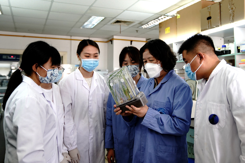 �҇��چ��쌍(sh��)�(y��n)œ�_չ�M�Ͻ��ˮ�����ķN�ӵ��N�ӡ�ȫ�������ڌ�(sh��)�(y��n)