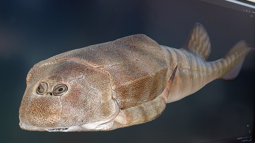 3.9�|��ǰ���齭Դ�^��һ�~���״ΰl(f��)�F(xi��n) �c���_��˹̹���[�~�ǡ����á�